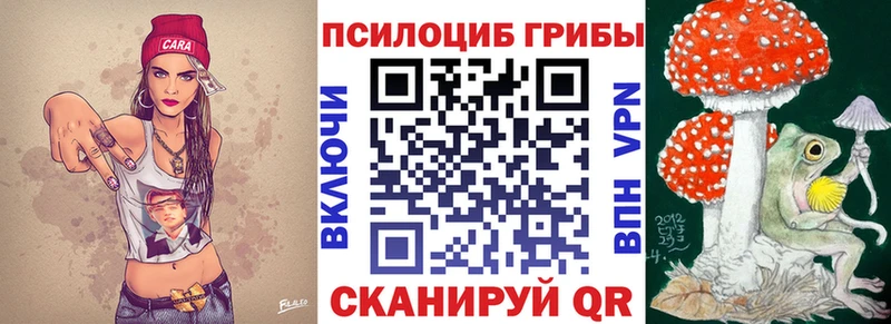 даркнет сайт  Новотитаровская  Галлюциногенные грибы Psilocybe 